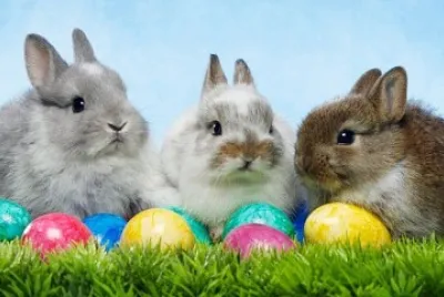 easter eggs