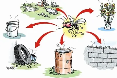 Contra a DENGUE