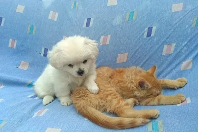Martina y Felipe