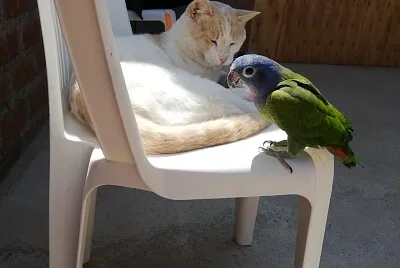 Lindos