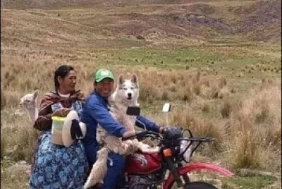 פאזל של BOLIVIA