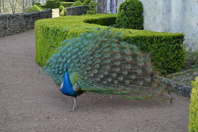 פאזל של dordogne