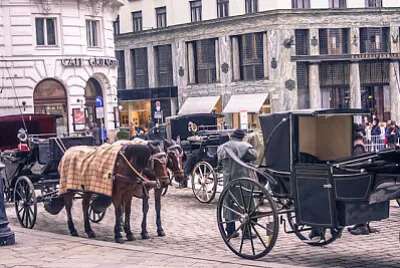 Viena Austria Carruajes
