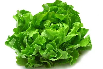 WHAT IS THIS VEGETABLE?