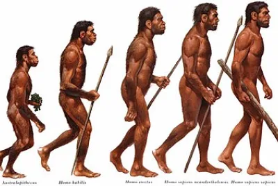 ORIGEN DEL SER HUMANO
