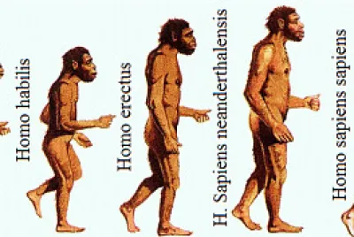 ORIGEN DEL SER HUMANO