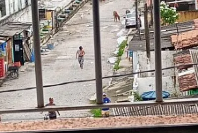 Meu bairro 2