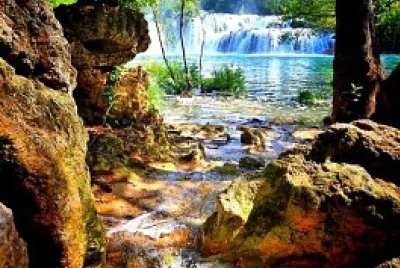 la vida jigsaw puzzle