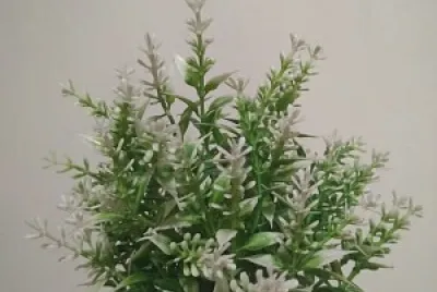 Figura-fondo