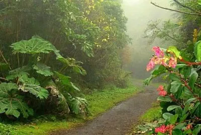 montaña jigsaw puzzle