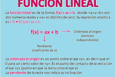 explicacion funcion lineal jigsaw puzzle
