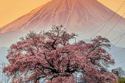 imagem jigsaw puzzle