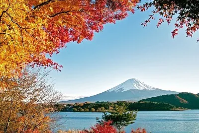 imagem jigsaw puzzle