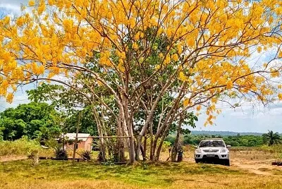 imagem jigsaw puzzle