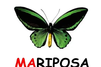 Mariposa