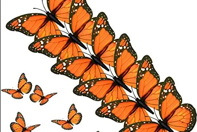mariposas