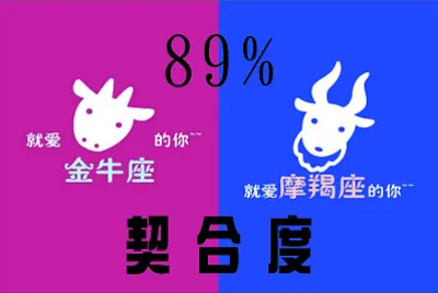 星座契合度百分比