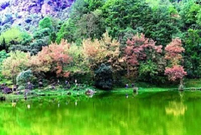 Nature jigsaw puzzle