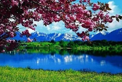 Nature jigsaw puzzle