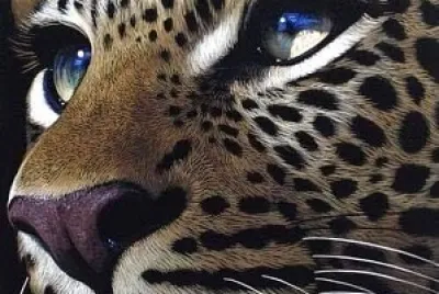 felino jigsaw puzzle