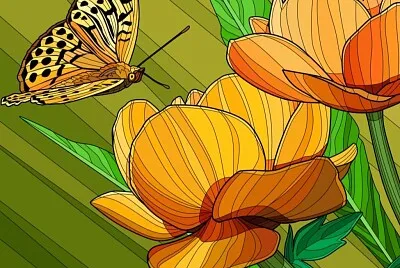 COLORIDO