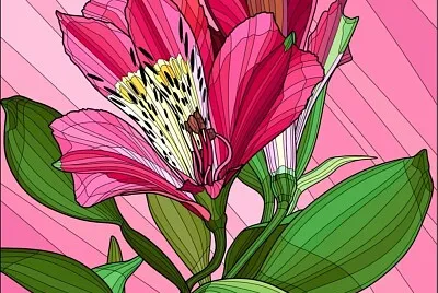 COLORIDO