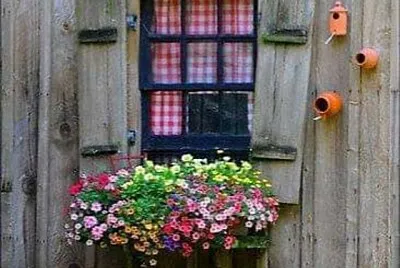 ventana