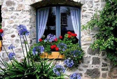 ventana