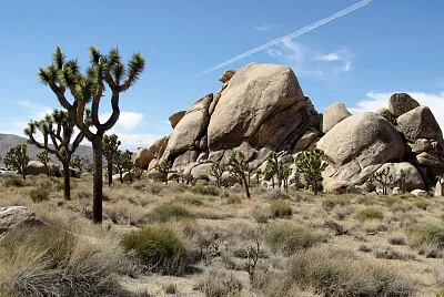 B021