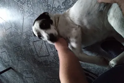 Sam