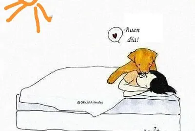 buendia