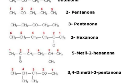 Función química