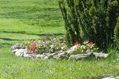 Chaumont nouveautée