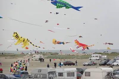 Kite festival, Rømø, Denmark jigsaw puzzle