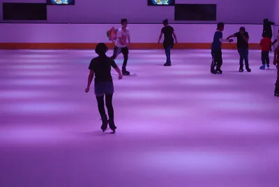 michi patinando en pista de teflon la paz