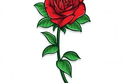FLOR