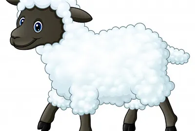 OVELHA