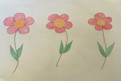 Flores