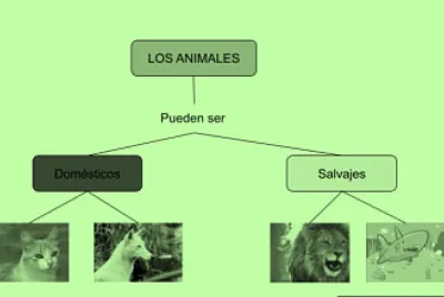 DOCUMENTOS