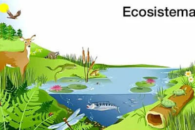 Ecosistema