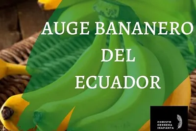 auje bananero
