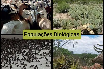 Populações Biológicas