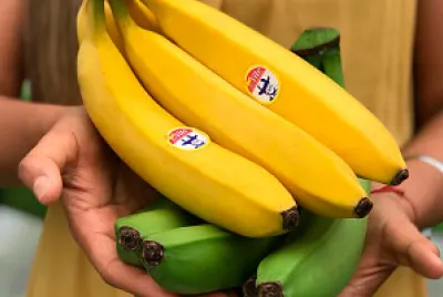 Boom bananero