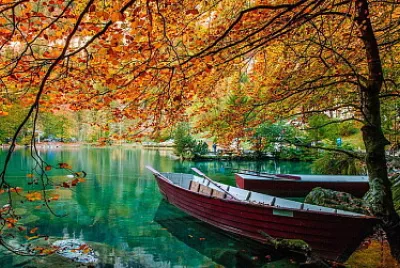 Naturaleza
