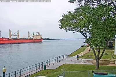  "saltie " m/v Federal Dart