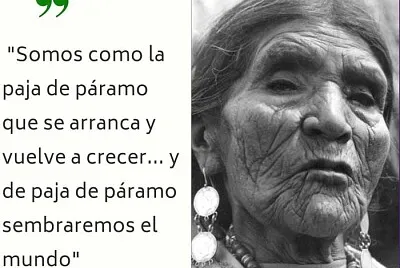 DOLORES CACUANGO