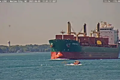  "saltie " Chestnut northbound to Lake Huron