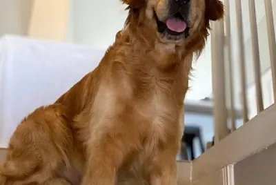kilo