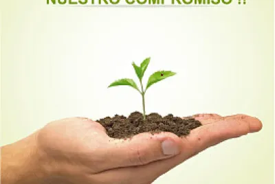 Afiche