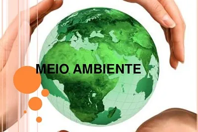 פאזל של Meio ambiente